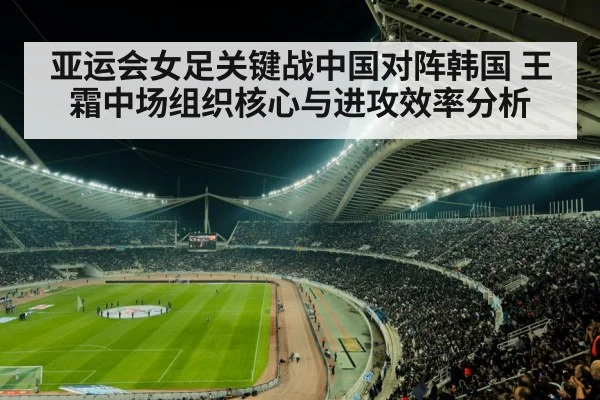 soccer stadium night crowd