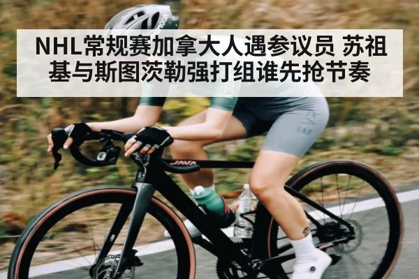 NHL常规赛加拿大人遇参议员 苏祖基与斯图茨勒强打组谁先抢节奏 | huatihui